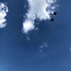 Meet your Posher, Donald